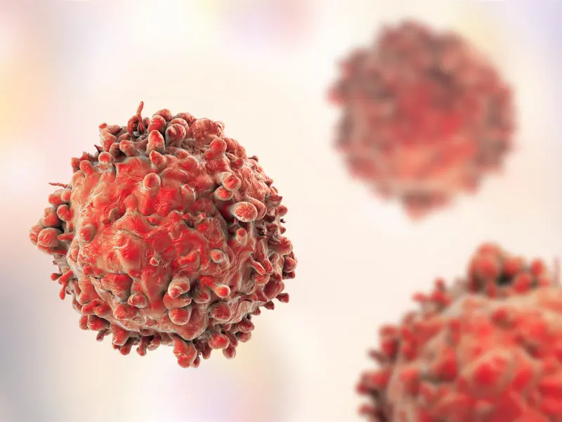 CD19 CAR T-cell immunotherapy plus ibrutinib results in durable responses in R/R CLL