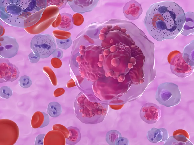 Impact of TP53 mutations on outcomes following blinatumomab treatment in adults with B-cell ALL