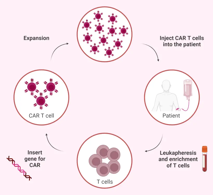 glutathione t cells car Overview of T-cell therapy in the management of systemic lupus erythematosus How to Take Glutathione: