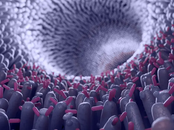 Microbiota therapy