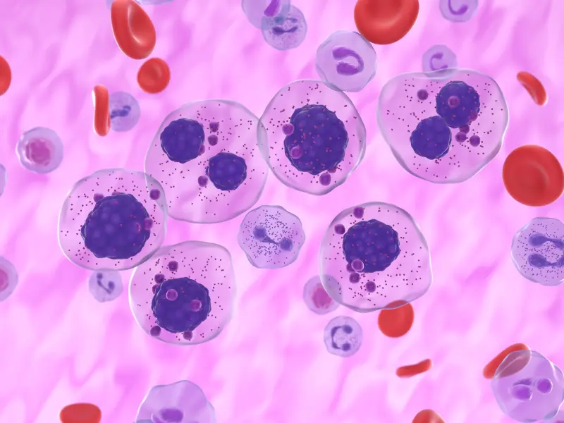CARTITUDE-2 Cohort B: Results of cilta-cel in patients with early relapsed MM 