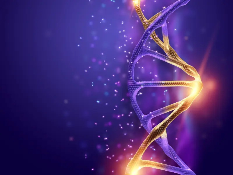 Prognostic impact of ASXL1 mutations on primary and secondary myelofibrosis: A FIM study