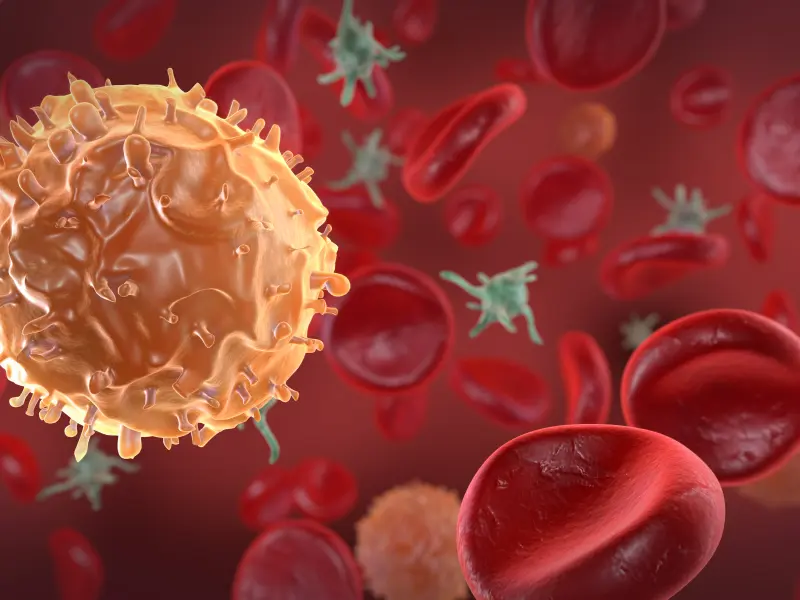 Current perspectives on circulating tumor cells in newly diagnosed MM eligible for transplant