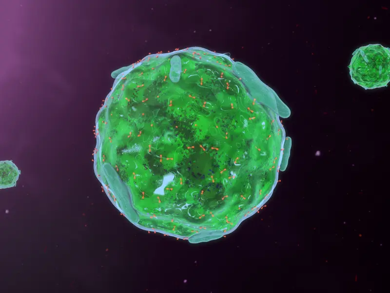 Educational theme | Treating systemic mastocytosis