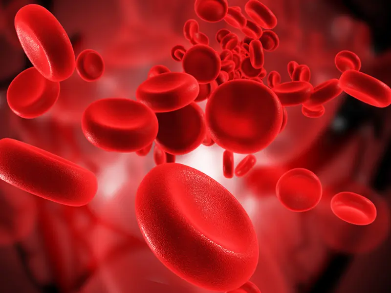 Ruxolitinib in MF with anemia: Real-world treatment patterns and survival outcomes