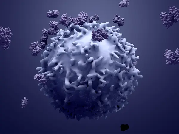 Antibody therapy
