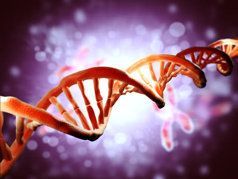 Post-remission and pre-allogenic HCT role of WT1 MRD in AML