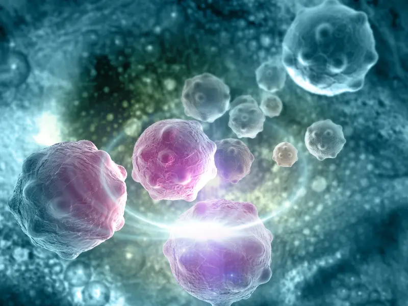 The 5th edition of the World Health Organization classification of haematolymphoid tumors: key updates to ALL classification