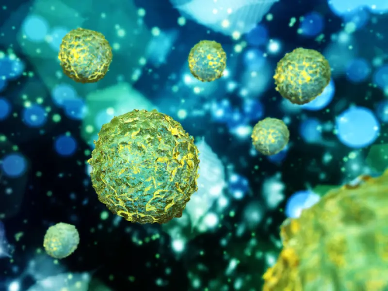 Impact of mesenchymal stem cells in the hematopoietic stem cell transplantation on prevention and treatment of GvHD