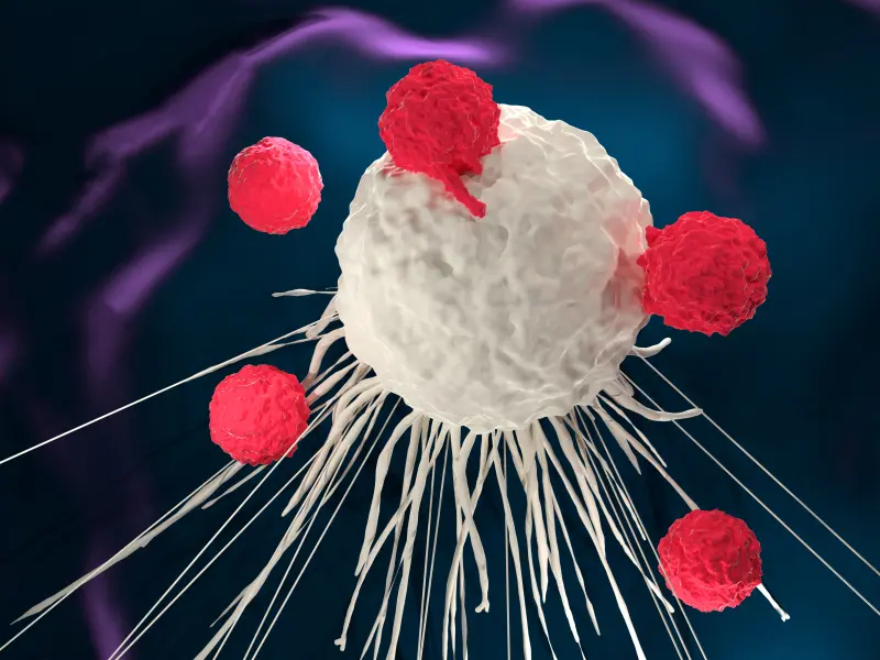CARTITUDE-1 results indicate deep and durable responses with cilta-cel for RRMM