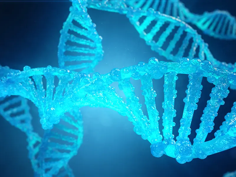 Impact of CALR mutations in patients with MF treated with ruxolitinib