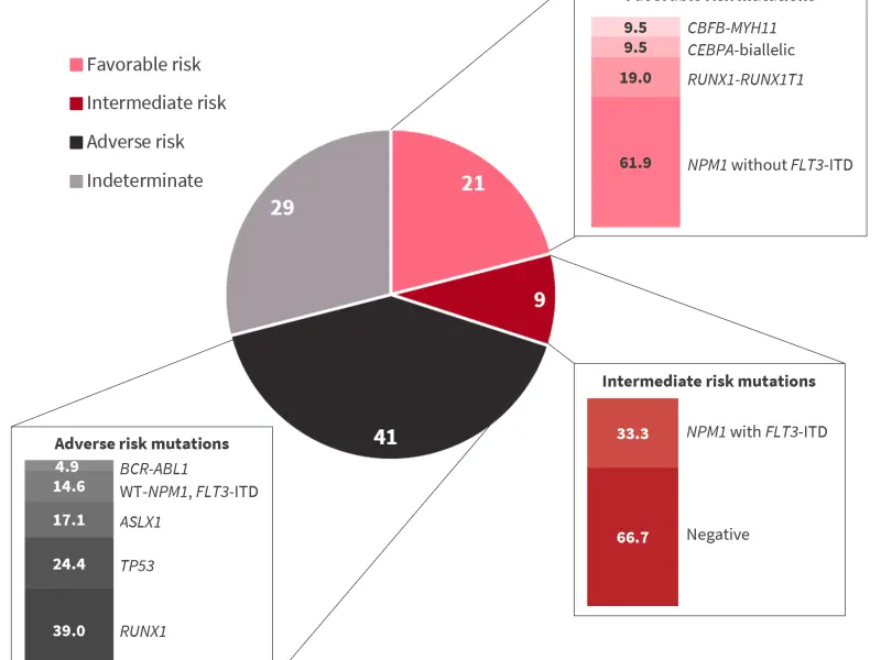 The impact of NGS on risk stratification of patients with AML