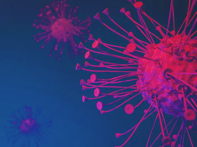 Ide-cel in RRMM: Real-world experience and biomarkers of response