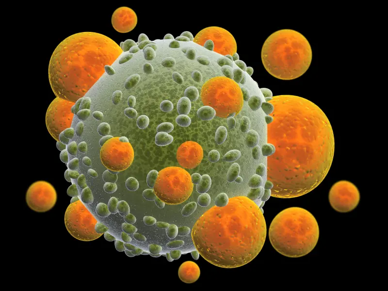 Antibiotic treatment is associated with decreased response to CAR T-cell therapy 