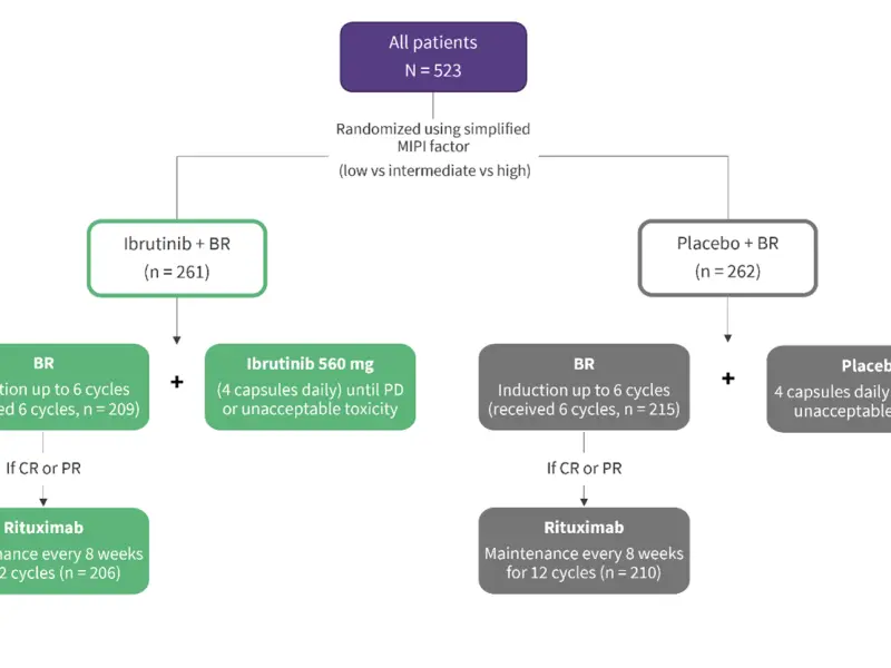 Efficacy and safety of ibrutinib + BR in the treatment of elderly patients with MCL: Primary analysis from SHINE III