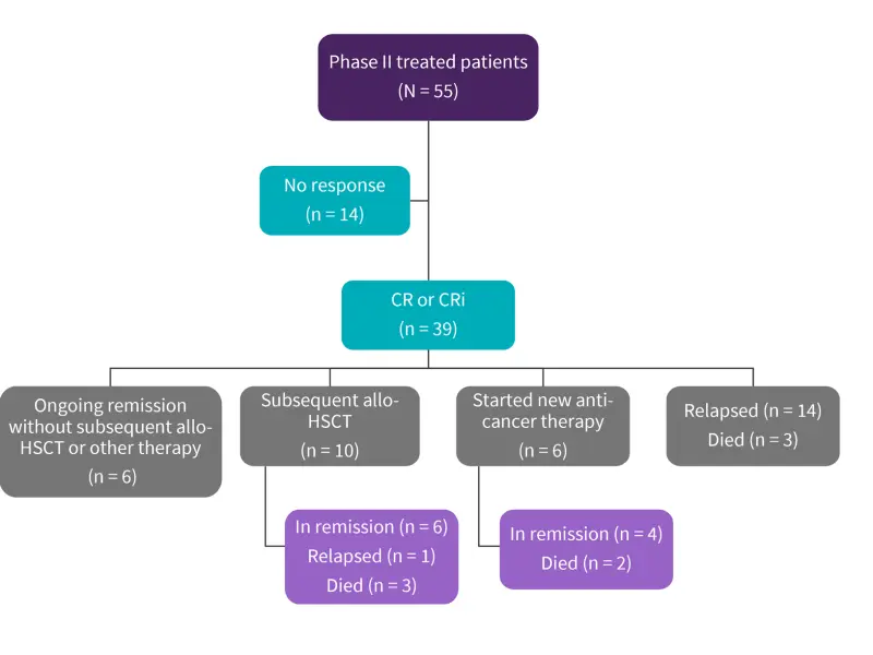 Two-year follow-up of KTE-X19 in adult patients with R/R B-ALL: ZUMA-3 trial