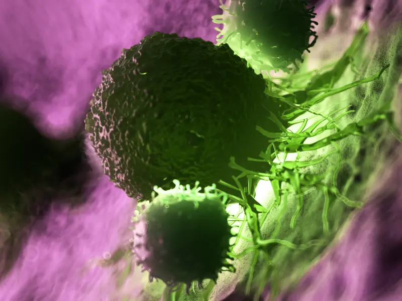 Long-term outcomes of the ZUMA-1 study assessing axicabtagene ciloleucel for the treatment of refractory B-cell lymphoma