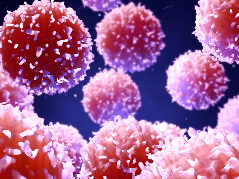 SHR2554 in patients with R/R PTCL: Results from a phase I trial
