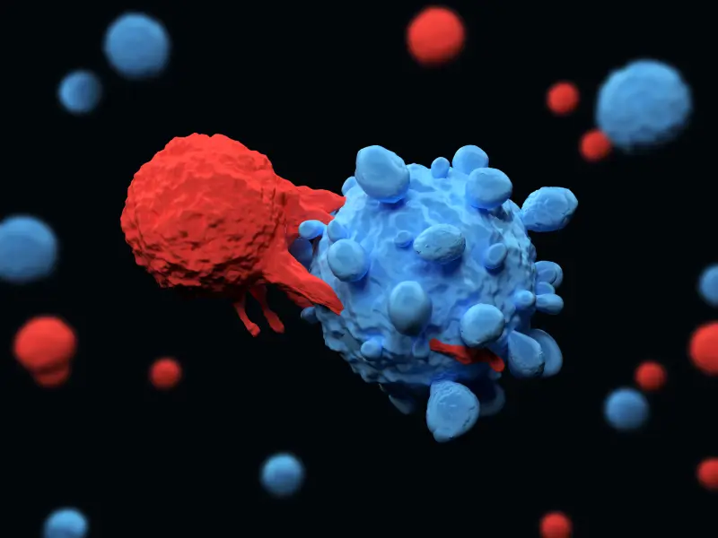 Results from the phase II ZUMA-2 trial: CAR T therapy for MCL
