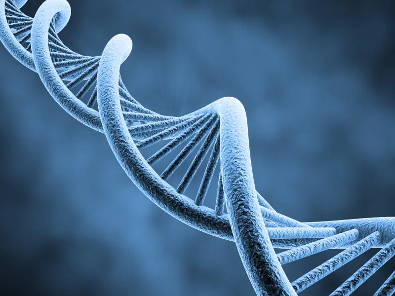 Prognostic value of ASXL1mut in patients with PMF and SMF