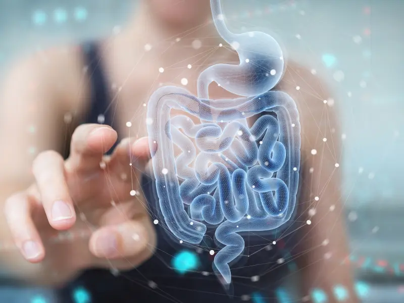 Characteristics of gut microbiota in patients with PV and the impact of different treatments