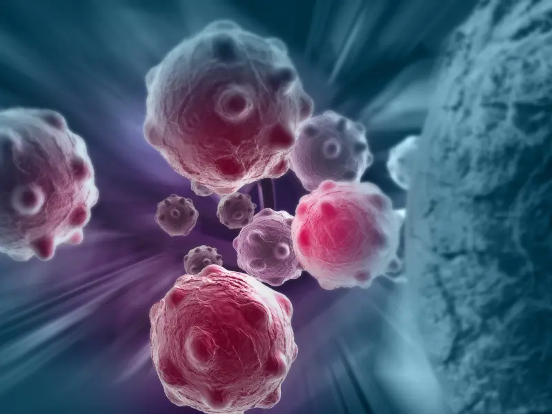 Mini-hyper-CVD plus inotuzumab ozogamicin ± blinatumomab in adult R/R Ph− B-ALL