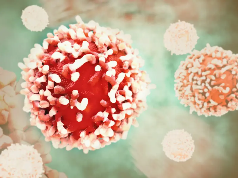 The EMA grants midostaurin approval for the treatment of newly diagnosed FLT3+ AML patients