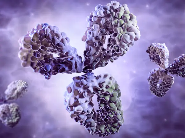 T-cell engagers