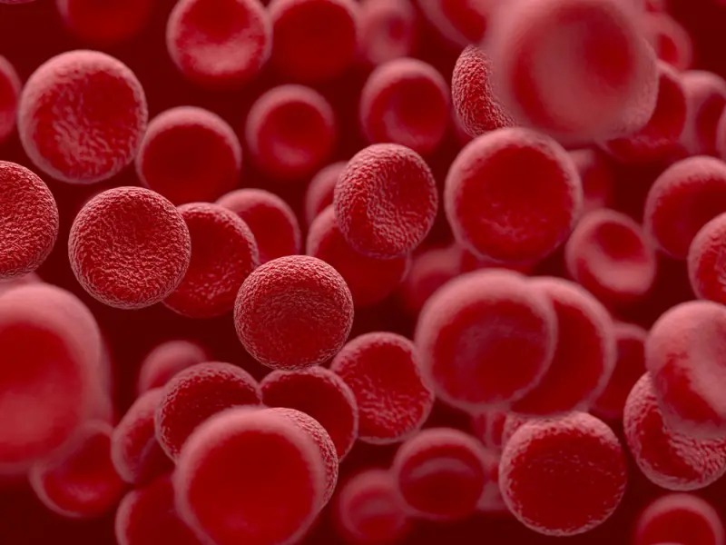Preventing thrombosis with ruxolitinib in polycythemia vera 