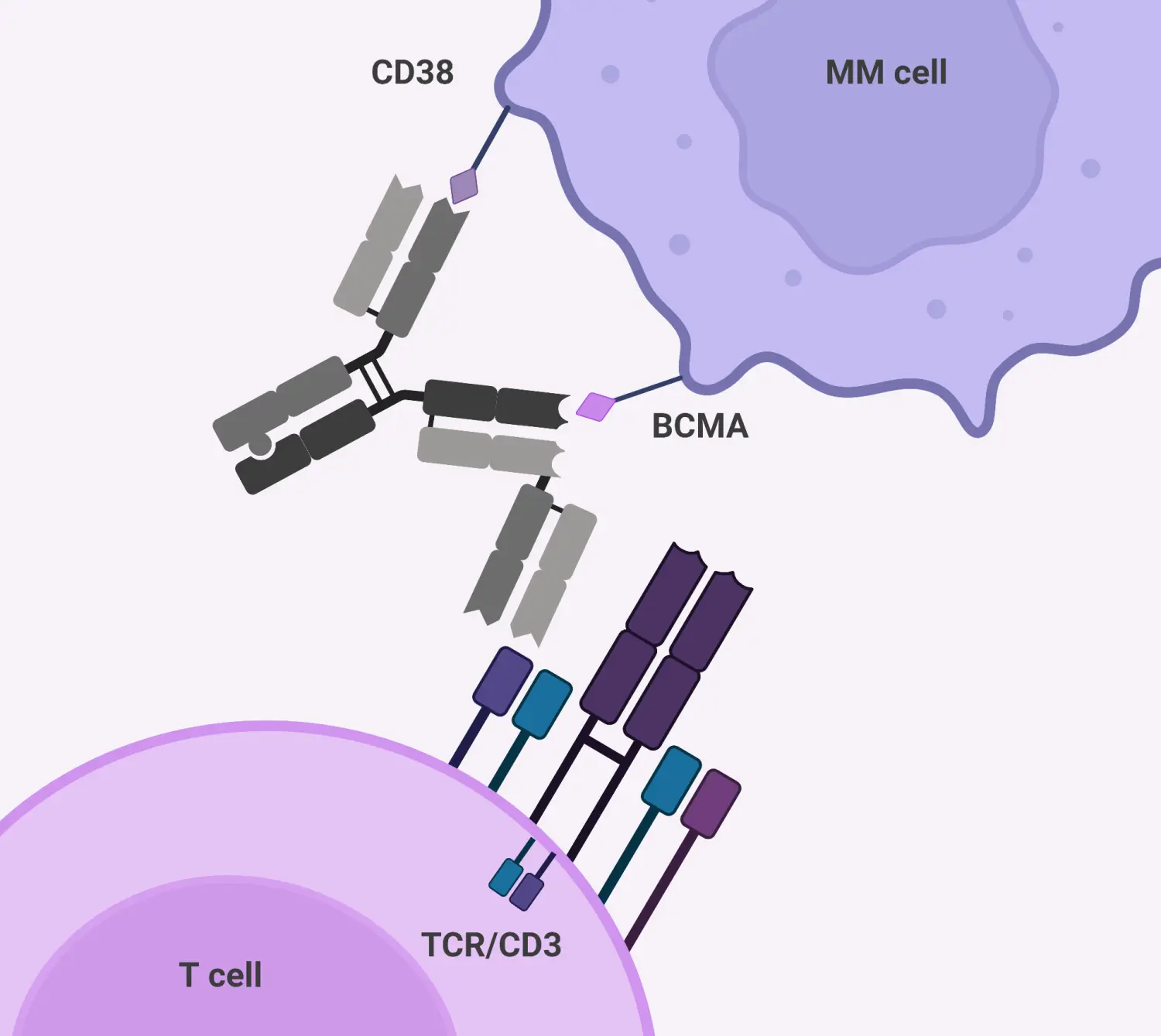 FDA grants orphan drug designation to ISB 2001
