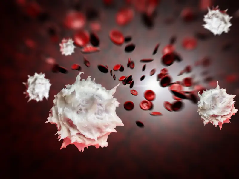 Tamibarotene as maintenance therapy for acute promyelocytic leukemia improved long-term relapse-free survival