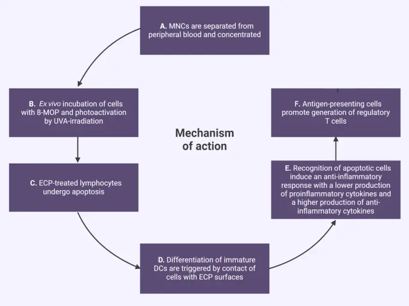 ECP for the treatment of cGvHD: Emerging data and clinical management considerations
