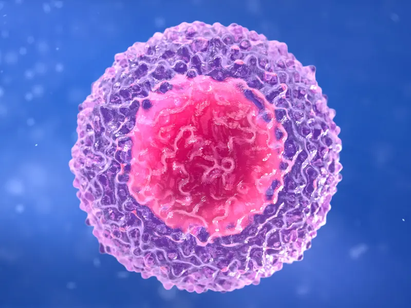 Ibrutinib plus R-CHOP for non-germinal center DLBCL: Results from a phase III trial