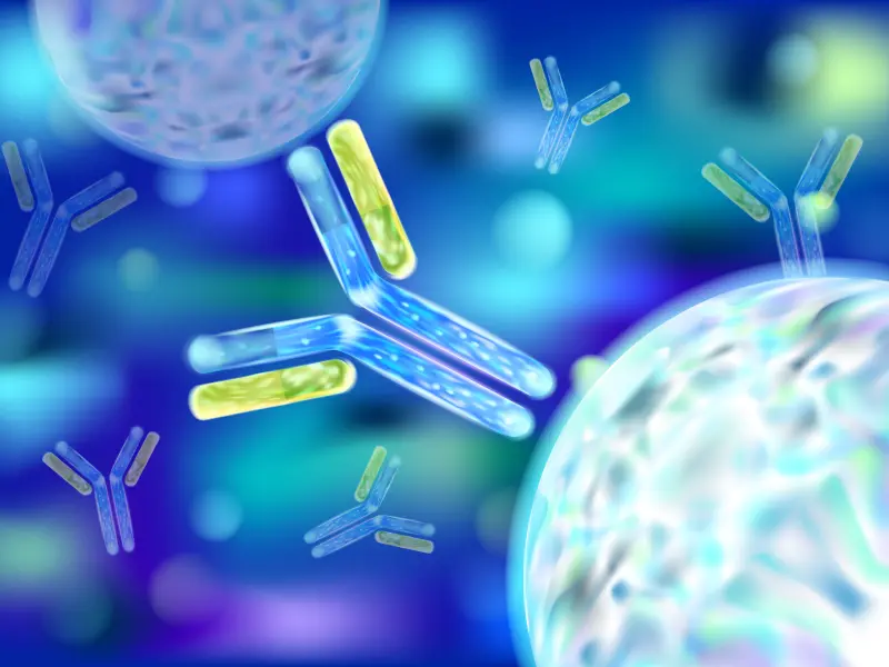 Bispecific antibodies for patients with R/R B-cell lymphoma: Latest updates from phase II trials 