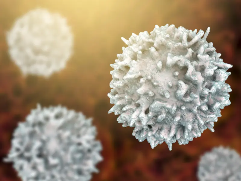 Preliminary data from novel DLI strategies show a lower risk of GvHD 