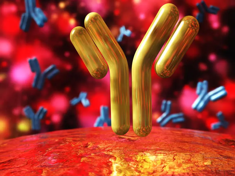EHA 2019 | Two-year follow-up of CheckMate 205: nivolumab plus doxorubicin, vinblastine, and dacarbazine in newly diagnosed advanced-stage cHL