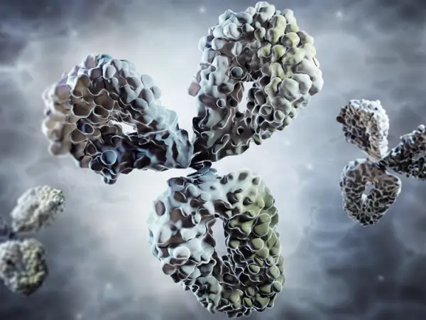 T-cell engagers