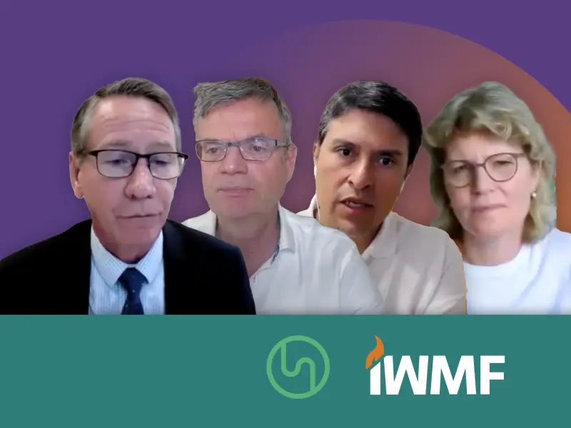Treatment options for patients with WM in the third‑line setting 