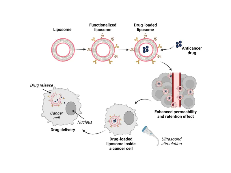 Liposomal drug delivery in acute myeloid leukemia