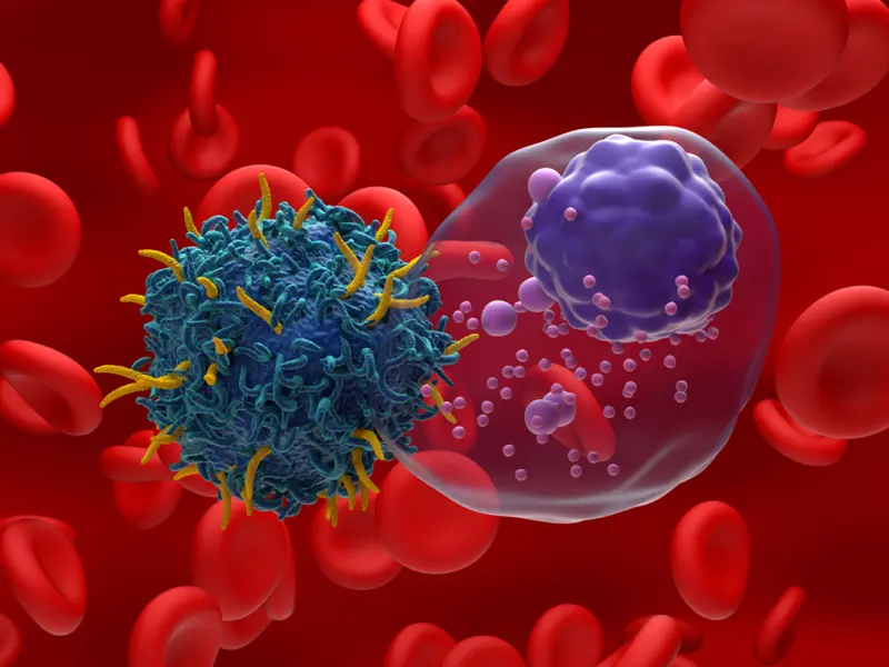 IMMagine-1: Preliminary phase II results of anitocabtagene autoleucel in patients with triple-class exposed RRMM