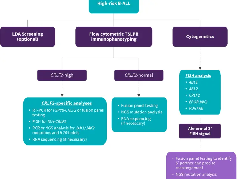 Educational theme │ Diagnosis of Ph-like ALL 