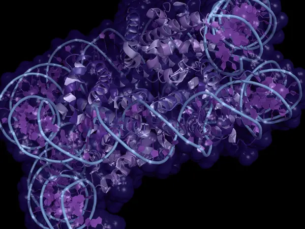 Histone modifiers