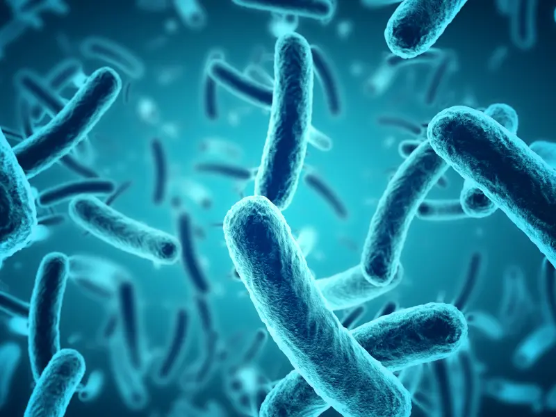 Microbiota dynamics and prediction of aGvHD post-allo-HSCT 