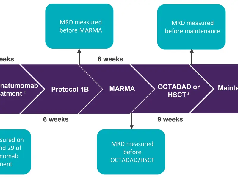 The addition of blinatumomab to the Interfant 06 study protocol for infants with newly diagnosed ALL 
