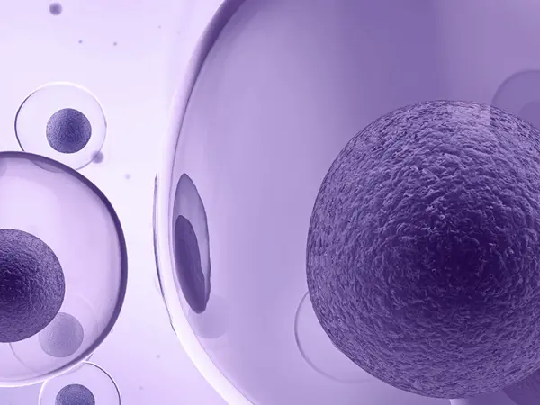 Immune modulators