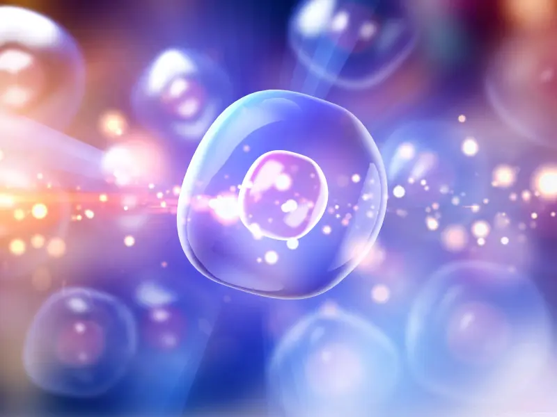 Anti-CD19 CAR T-cell therapy for patients with primary or secondary CNS lymphoma