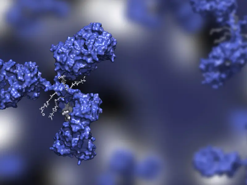 Extended follow-up from the DREAMM-2 trial