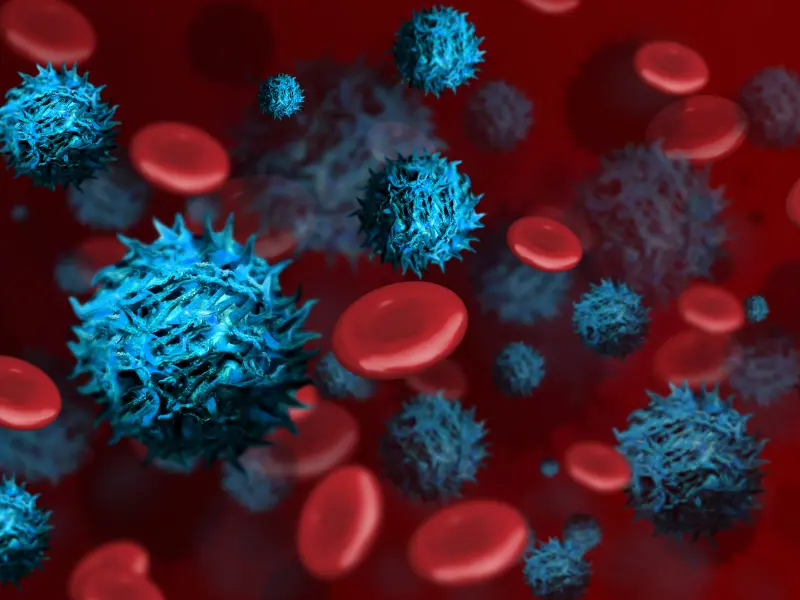 Long-term outcomes following CAR T-cell therapy in B-cell malignancies