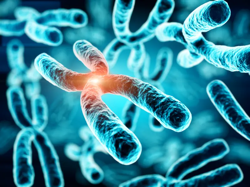The clinical significance of chromosome 1 abnormalities in newly diagnosed multiple myeloma 
