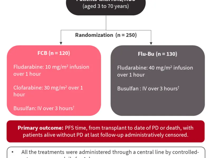 Clofarabine with fludarabine and busulfan in pretransplant conditioning regimen for AML/MDS: Results from a phase III study